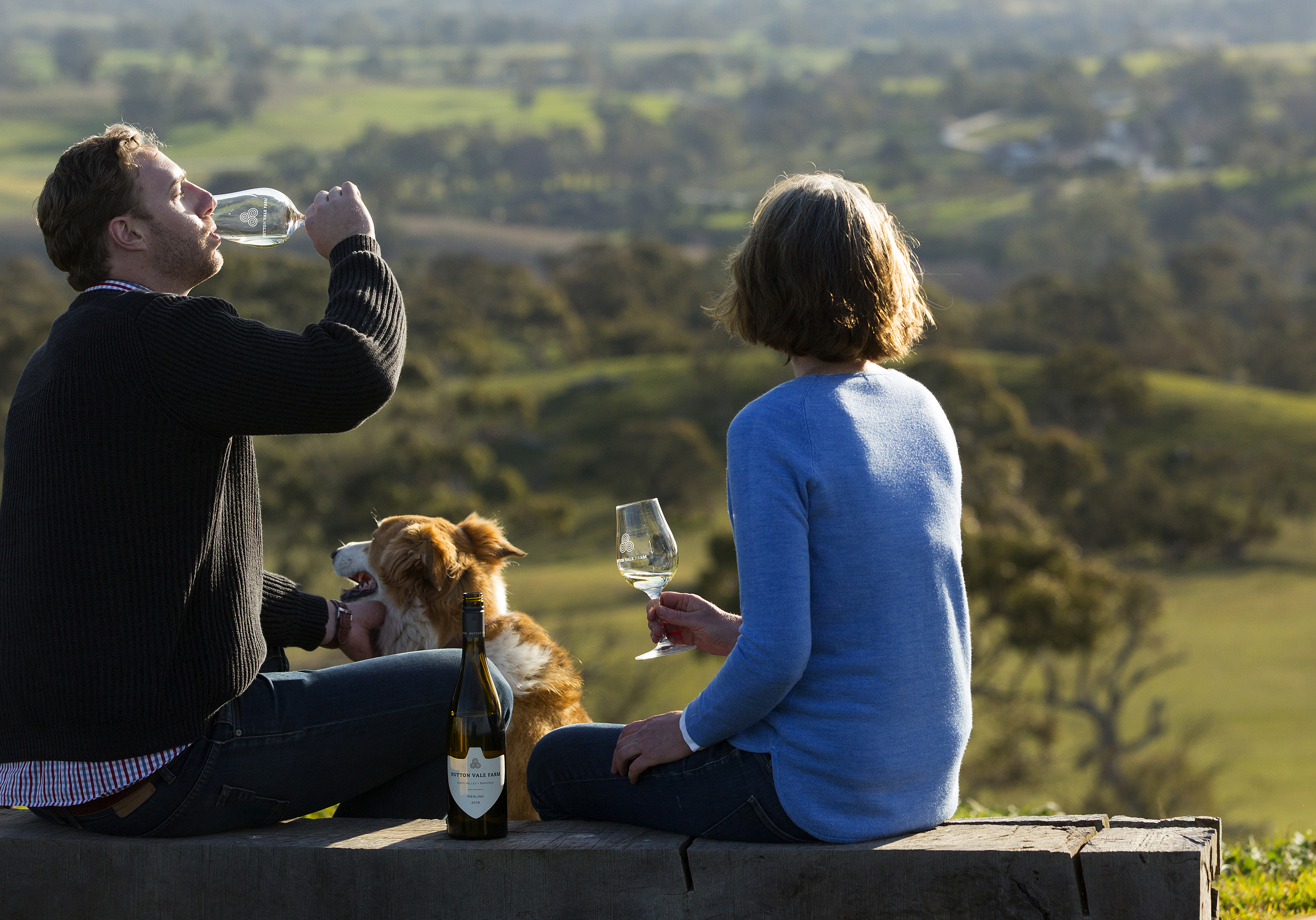 Drinking wine and sitting on a hill with a view